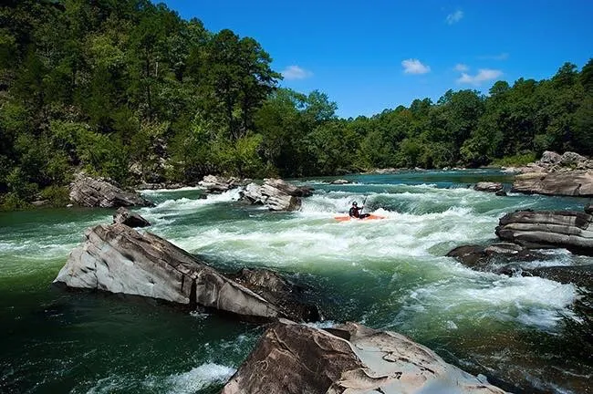 Connecting people to nature and purpose.